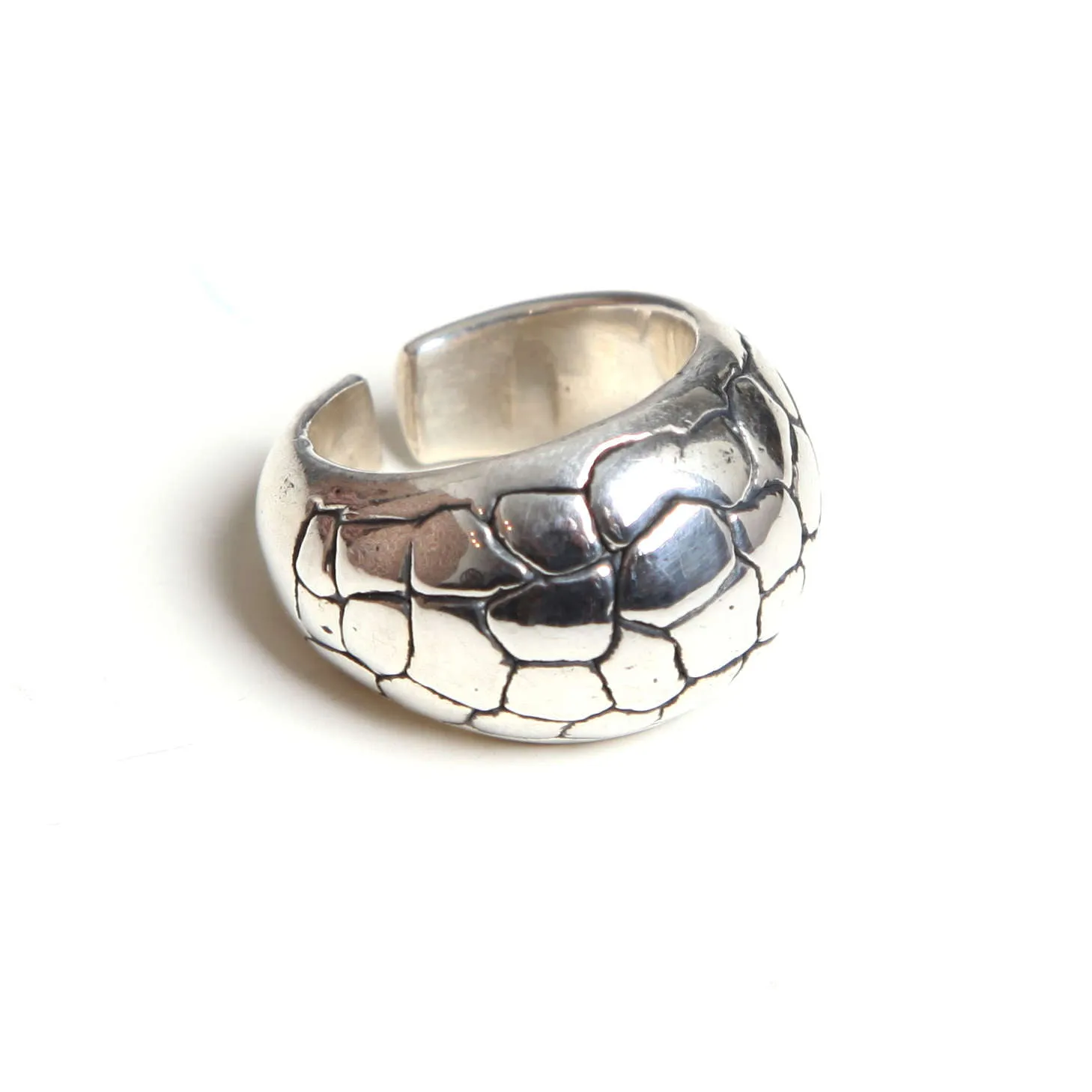 Anillo Print