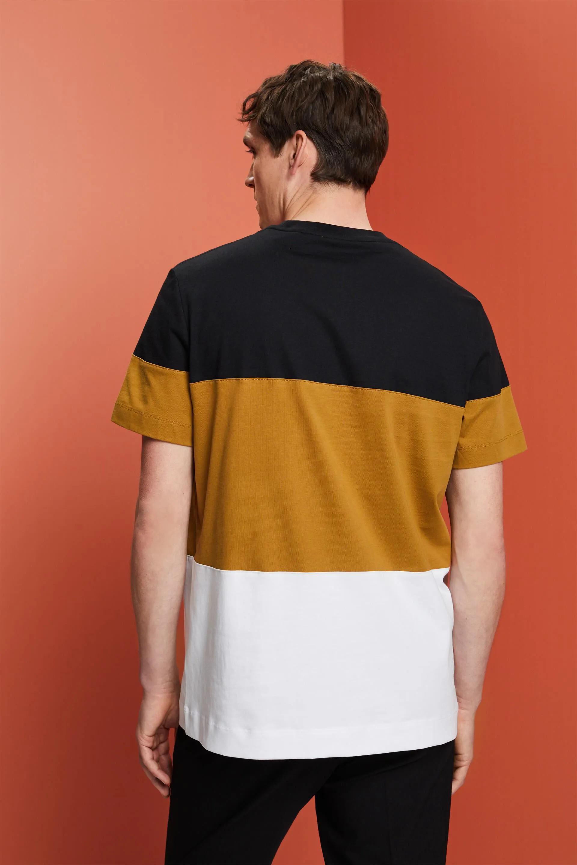 Camiseta con bloques de colores, 100% algodón