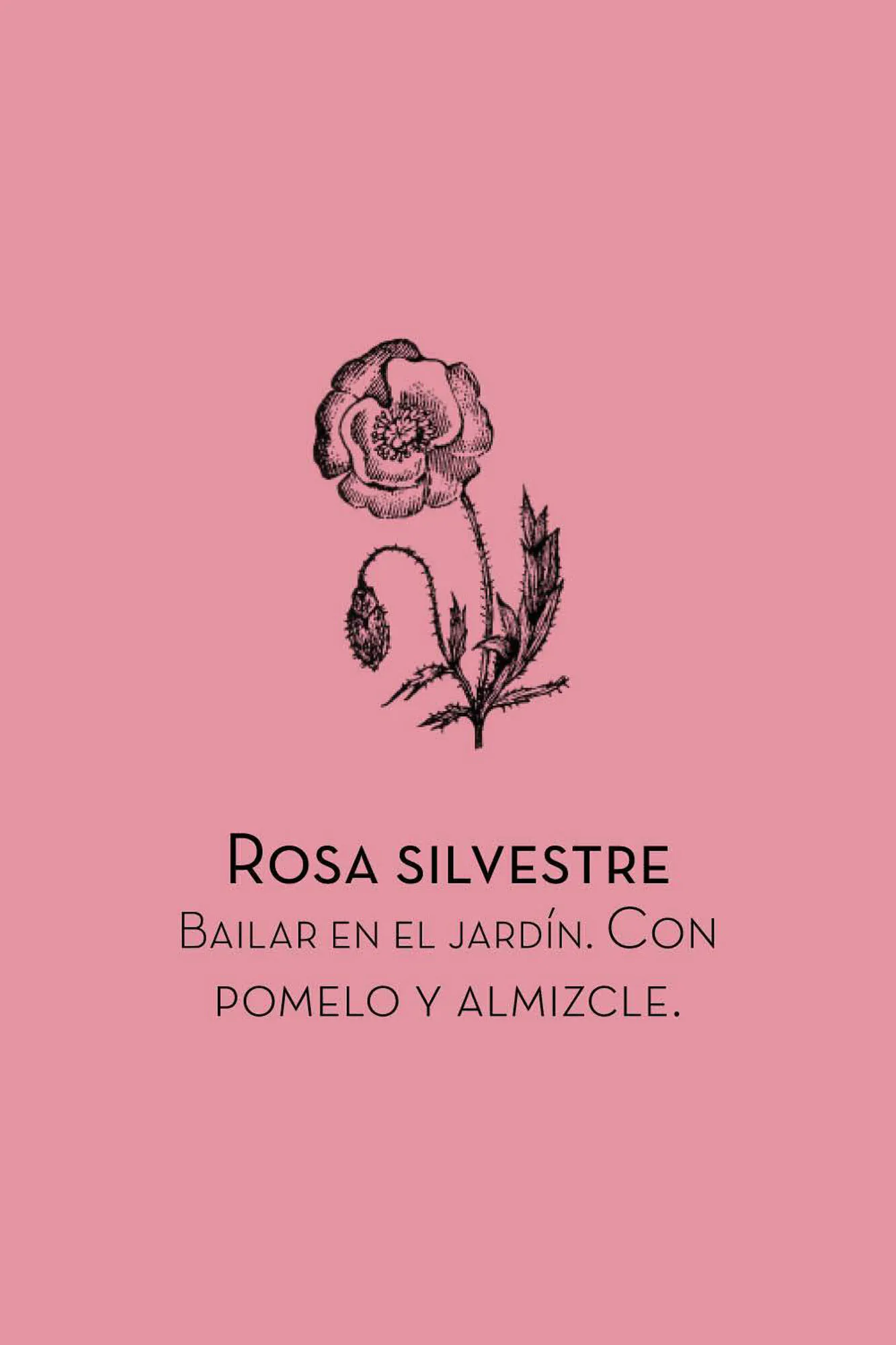 Fragancia tejidos rosa