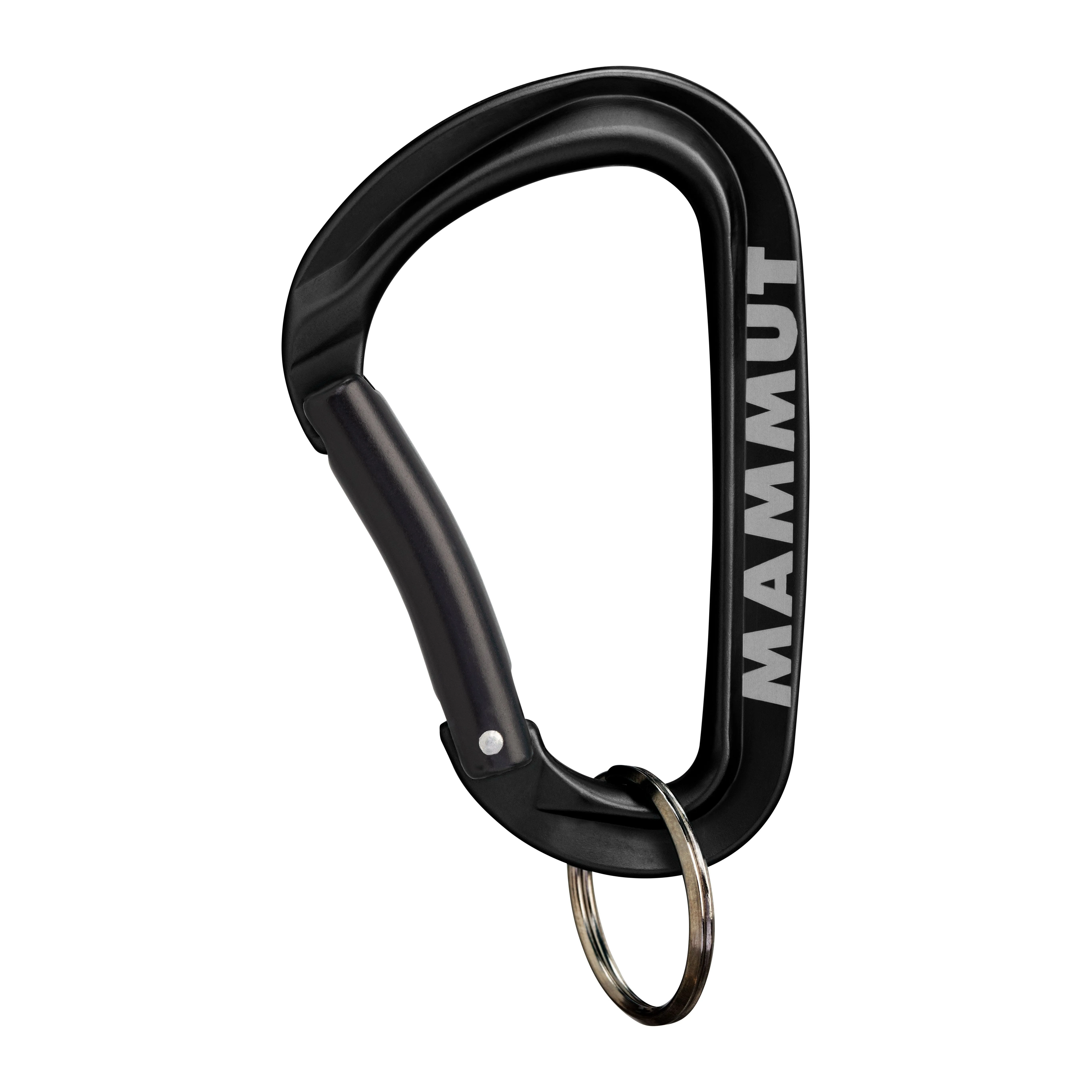 Llavero Mosqueton Mammut Mini Carabiner Workhorse Keylock L