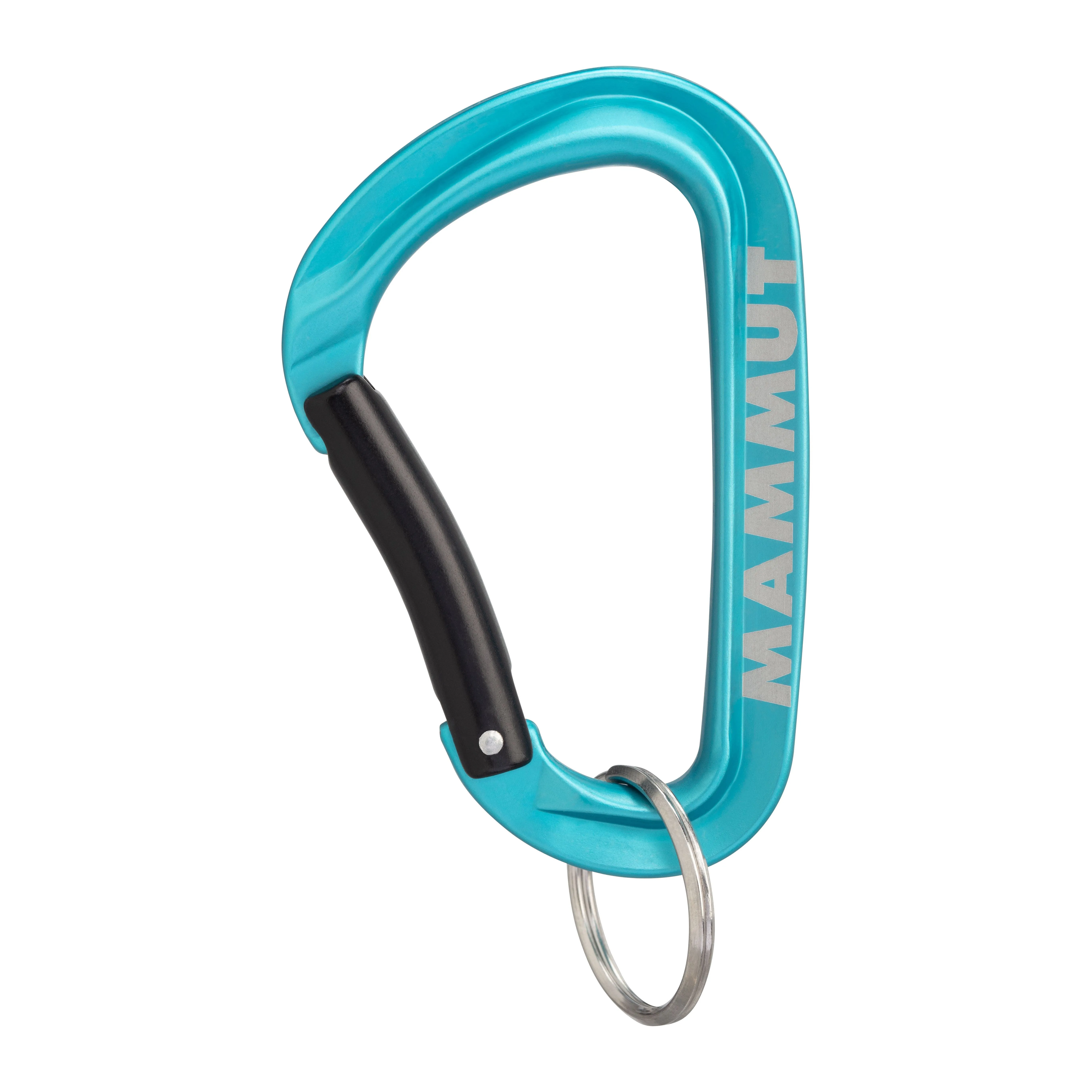 Llavero Mosqueton Mammut Mini Carabiner Workhorse Keylock L