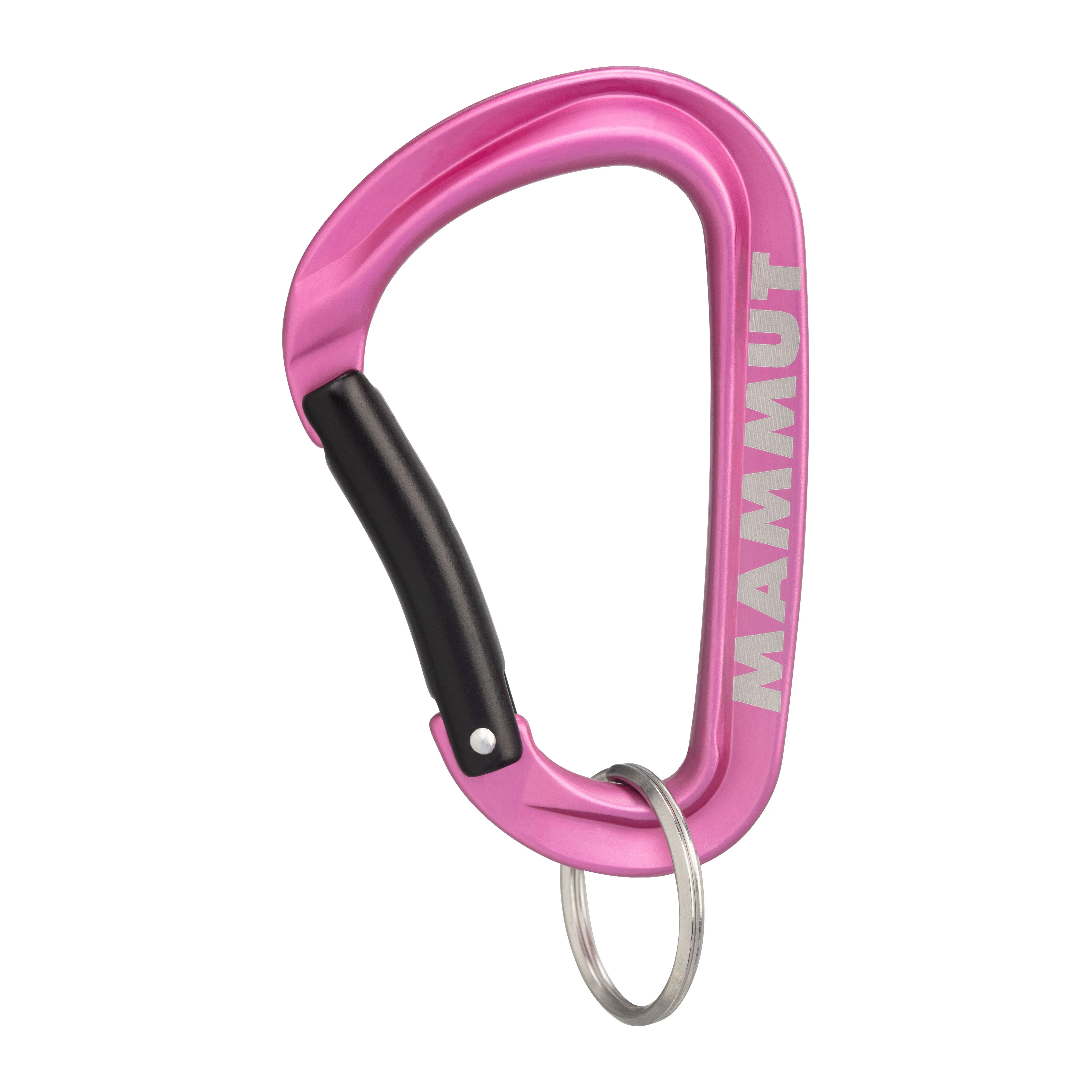 Llavero Mosqueton Mammut Mini Carabiner Workhorse Keylock L