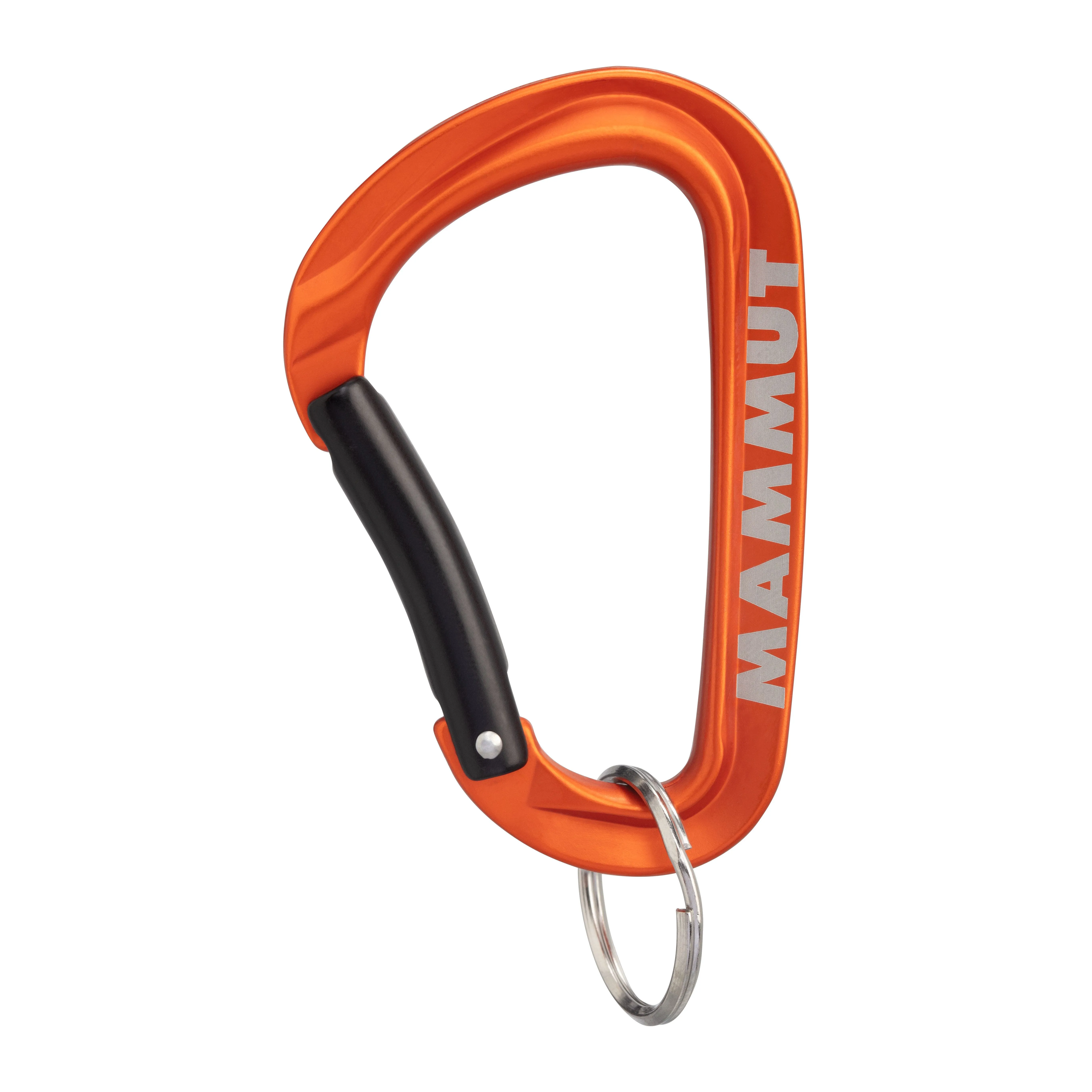 Llavero Mosqueton Mammut Mini Carabiner Workhorse Keylock L