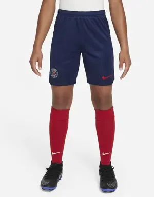 NIKE PRIMERA/SEGUNDA EQUIPACIóN STADIUM PARíS SAINTGERMAIN 2023/24